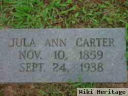 Jula Ann Raines Carter