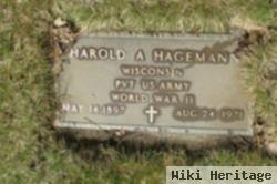 Harold A Hagemann