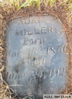 Adam Miller