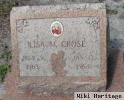 Lisa M. Crose