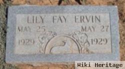 Lily Fay Ervin