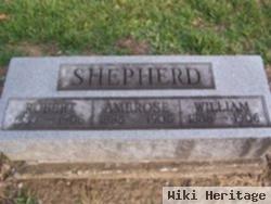 Ambrose Shepherd