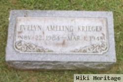 Evelyn O. Ameling Krieger