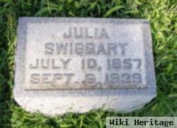 Julia Ann Coffey Swiggart