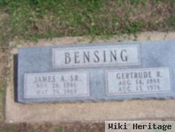 James Albert Bensing