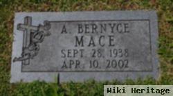 Anita Bernyce Mace