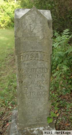 Rosa A. Luney Berry