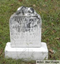 Nellie Ann Brewer