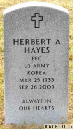 Pfc Herbert A Hayes