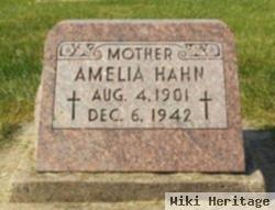 Amelia "molly" Arens Hahn