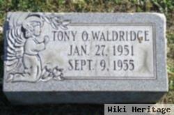 Anthony O "tony" Waldridge