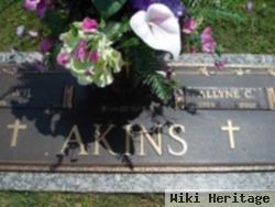 A. H. Akins