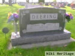 Herbert Martin Deering