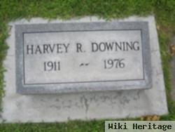 Harvey Ray Downing