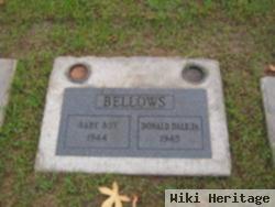 Donald Dale Bellows, Jr