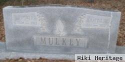 Homer Mulkey