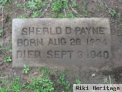 Sherld D. Payne