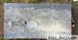 Louisa C Bulkley