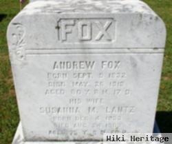 Andrew Fox