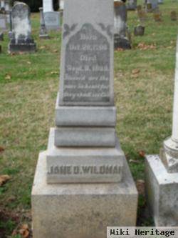 Jane D Hamilton Wildman