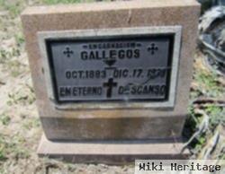 Encarnacion Gallegos