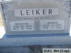 Anastas Leiker