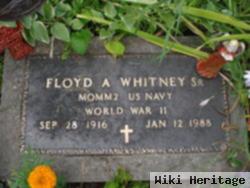 Floyd A Whitney, Sr