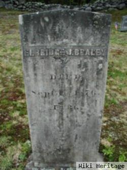 Elbridge Jesse Braley