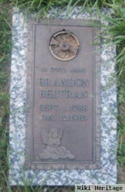 Brandon Beltran