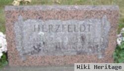 Henry F.g. Herzfeldt