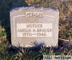 Amelia A Brauer