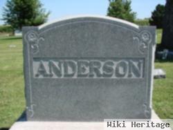 Carl A Anderson