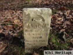 Anne M Campbell