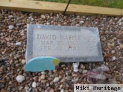 David Napier