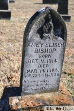 Amey Eliza Sewell Bishop