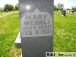 Mary Vogel Wehrli