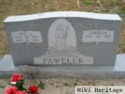 Ben J Pawelek