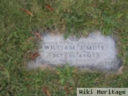 William J Muse