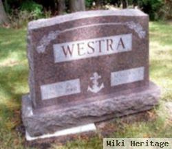 Dan P Westra