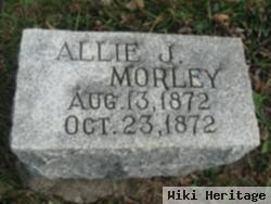 Allie J. Morley