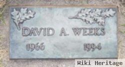 David A. Weeks