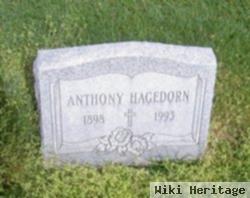 Anthony Hagedorn