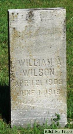 William A Wilson