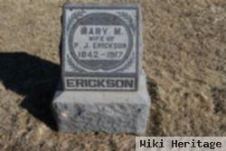 Mary M Erickson