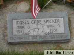 Moses Cade Spicker