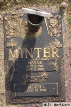 Wayne Minter