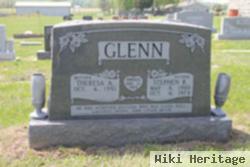 Stephen R. Glenn