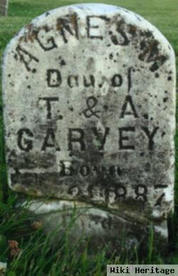 Agnes M Garvey