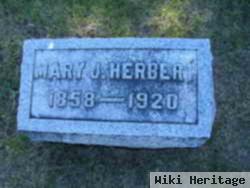 Mary J Herbert