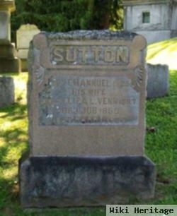 Eliza L Venn Sutton